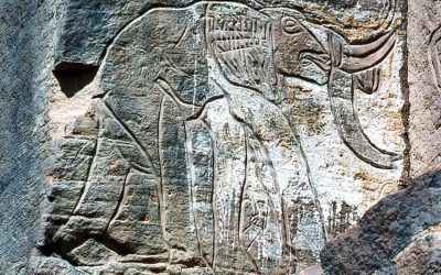 Pagine di pietra: i graffiti preistorici del Wadi Bergiug (Libia)