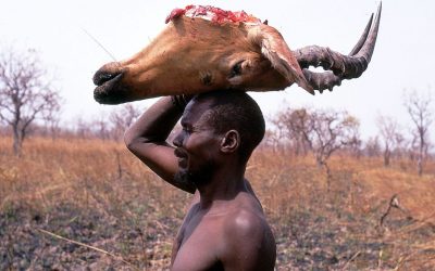 Fulbe Bororo: popolo di pastori