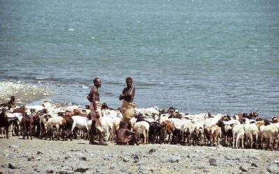 Turkana: Pastori del Lago di Smeraldo