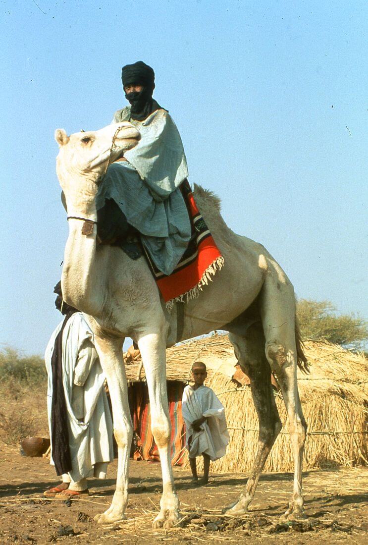 museo-castiglioni-varese-racconti-tuareg