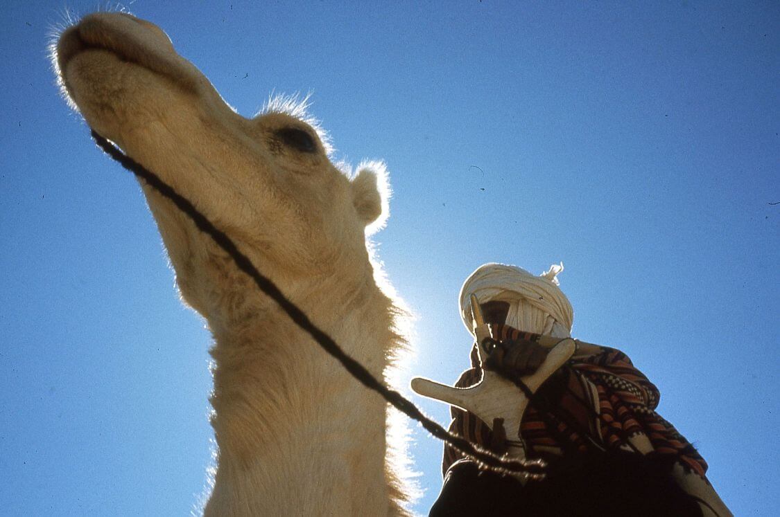 museo-castiglioni-varese-racconti-tuareg