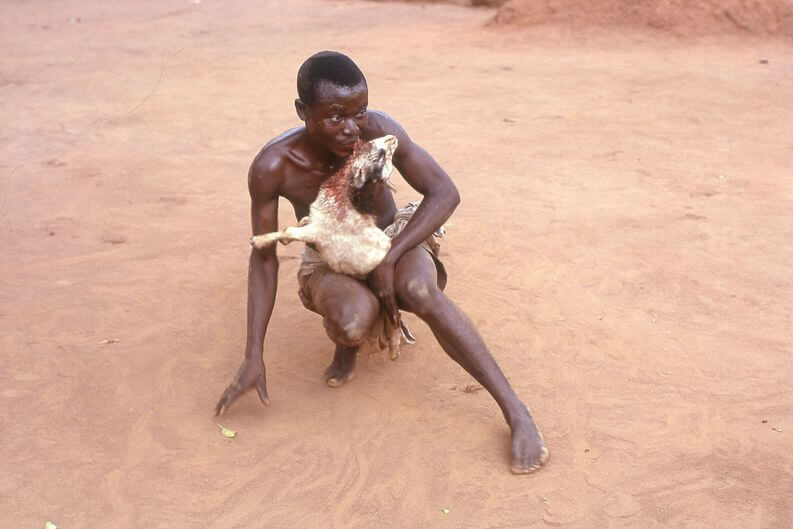 museo-castiglioni-varese-racconti-ewe-fon-guinea