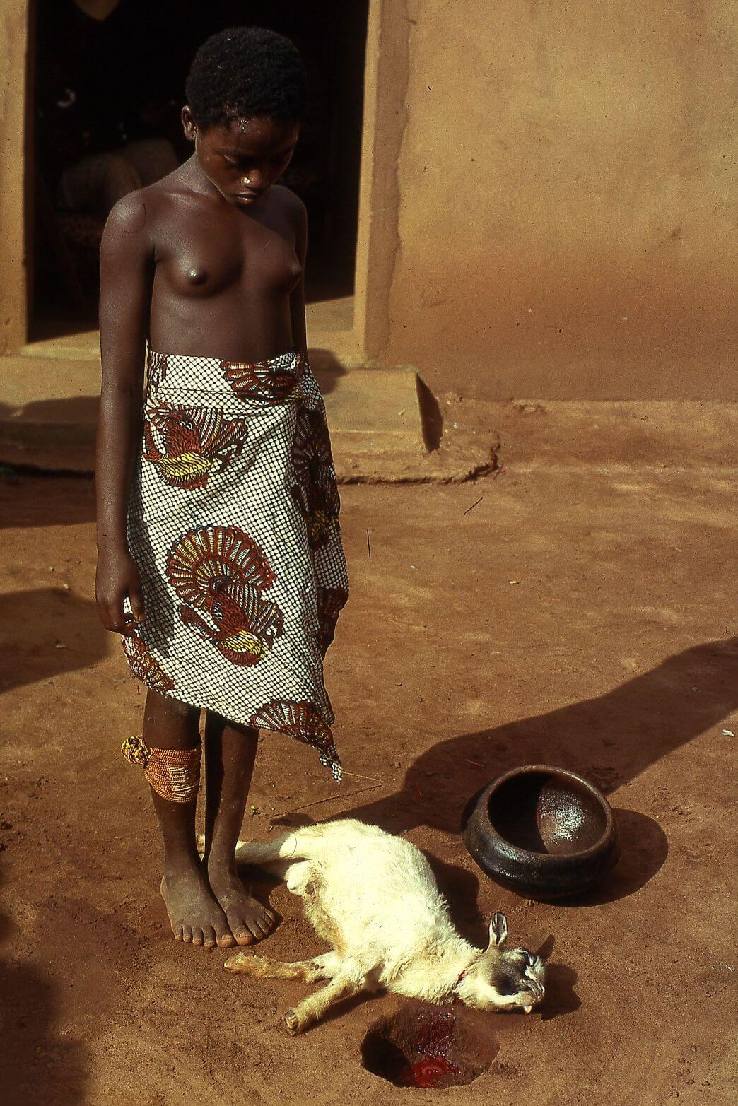 museo-castiglioni-varese-racconti-ewe-fon-guinea