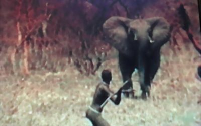 Caccia all’elefante di un gruppo Dinka