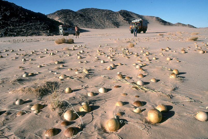 museo-castiglioni-varese-racconti-deserto-nubiano-sudanese