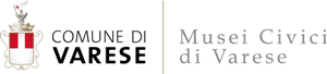 museo-castiglioni-musei-civici-varese-logo